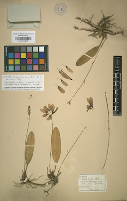 LE 01012277