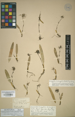 LE 01012278