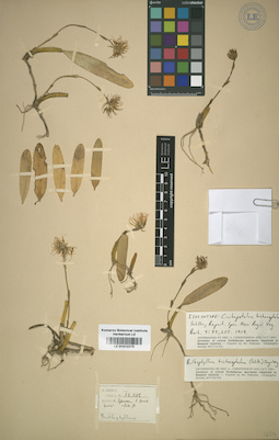 LE 01012279