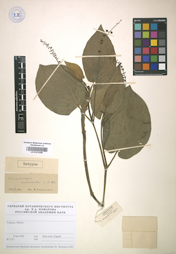 LE 01012285