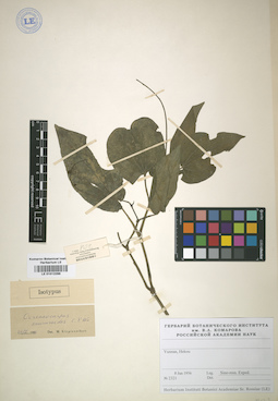 LE 01012286