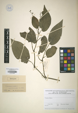 LE 01012287