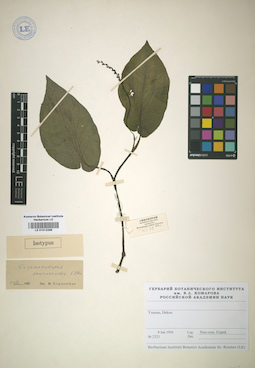 LE 01012288