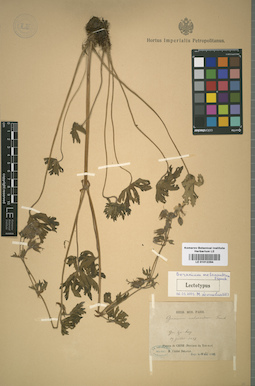 LE 01012294