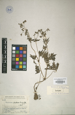 LE 01012295