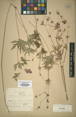 LE 01012300