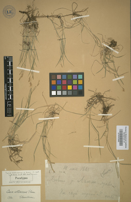 LE 01012302