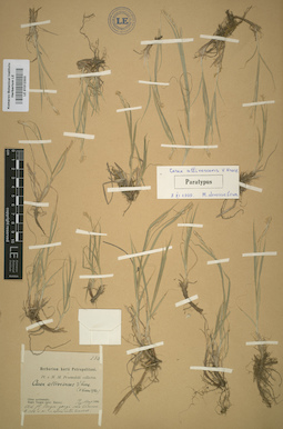LE 01012303