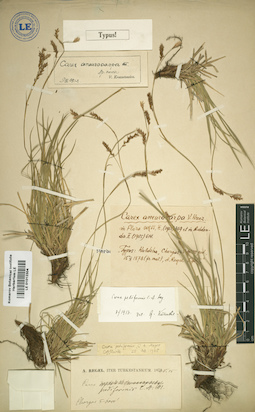 LE 01012304