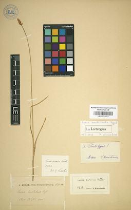LE 01012311