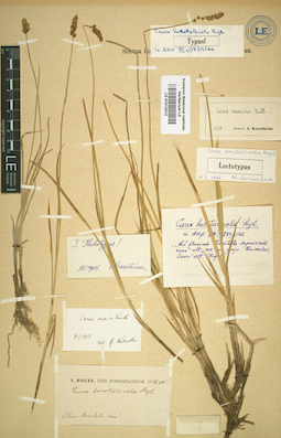 LE 01012312