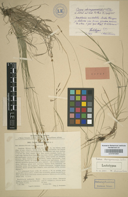 LE 01012321
