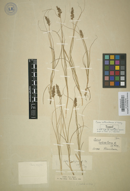 LE 01012323