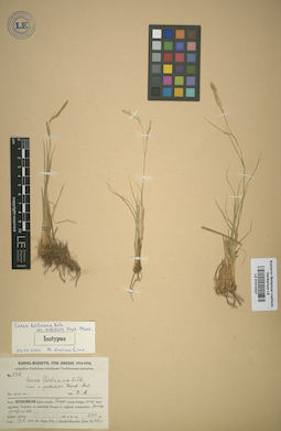 LE 01012327