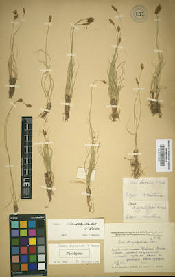 LE 01012332
