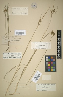 LE 01012339