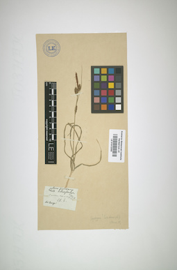 LE 01012340
