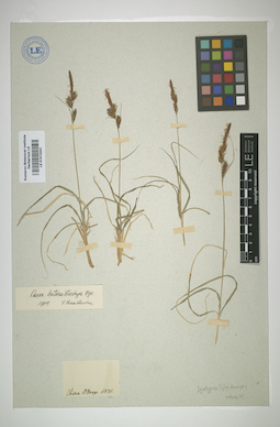LE 01012341
