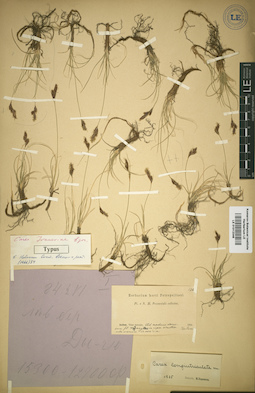 LE 01012346