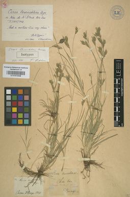 LE 01012348