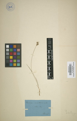 LE 01012351