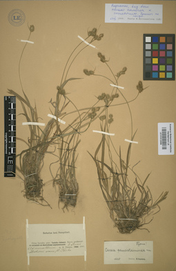 LE 01012358