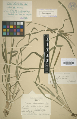 LE 01012360