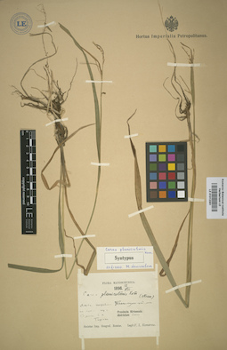 LE 01012361