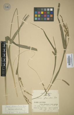 LE 01012362