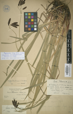 LE 01012367