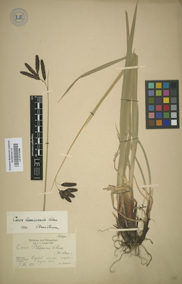 LE 01012368