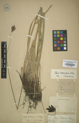LE 01012369