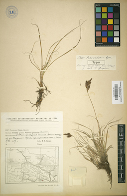 LE 01012370