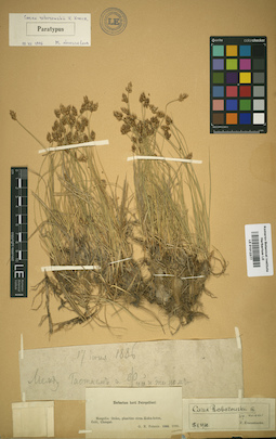 LE 01012377