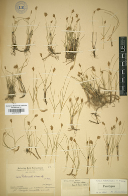 LE 01012378