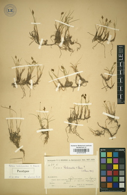 LE 01012379