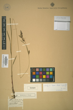 LE 01012385