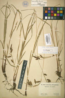LE 01012388