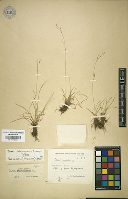 LE 01012389