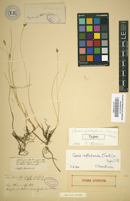 LE 01012393