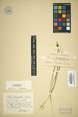 LE 01012396