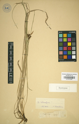 LE 01012397