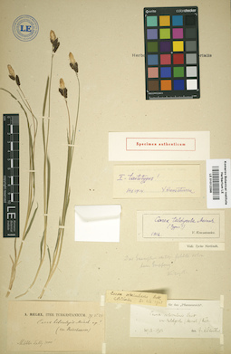 LE 01012398