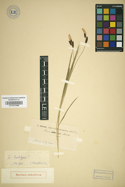 LE 01012399