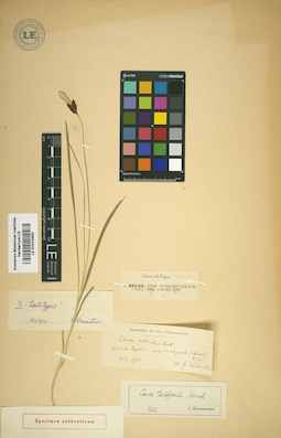 LE 01012400