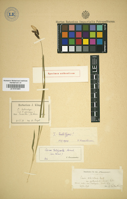 LE 01012401