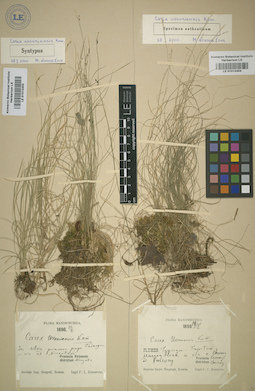 LE 01012404