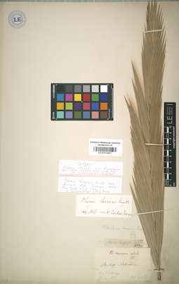 LE 01012407