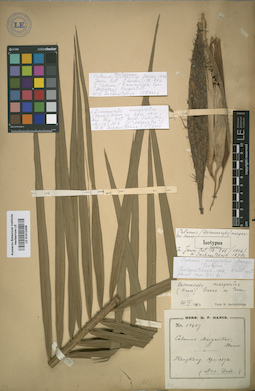 LE 01012409