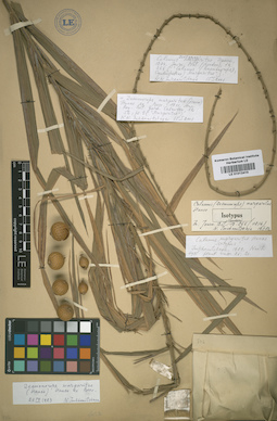 LE 01012410